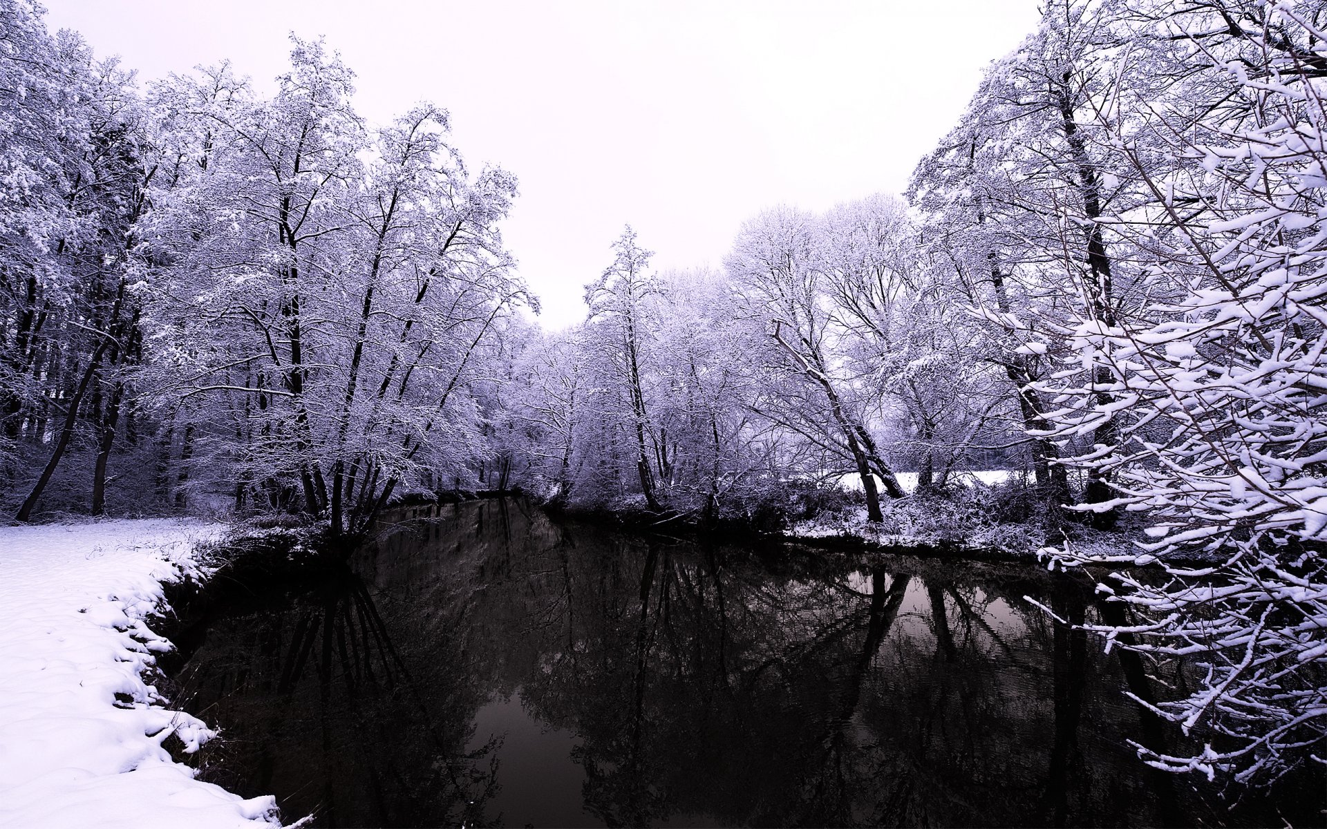 invierno naturaleza bosque río nieve árboles agua