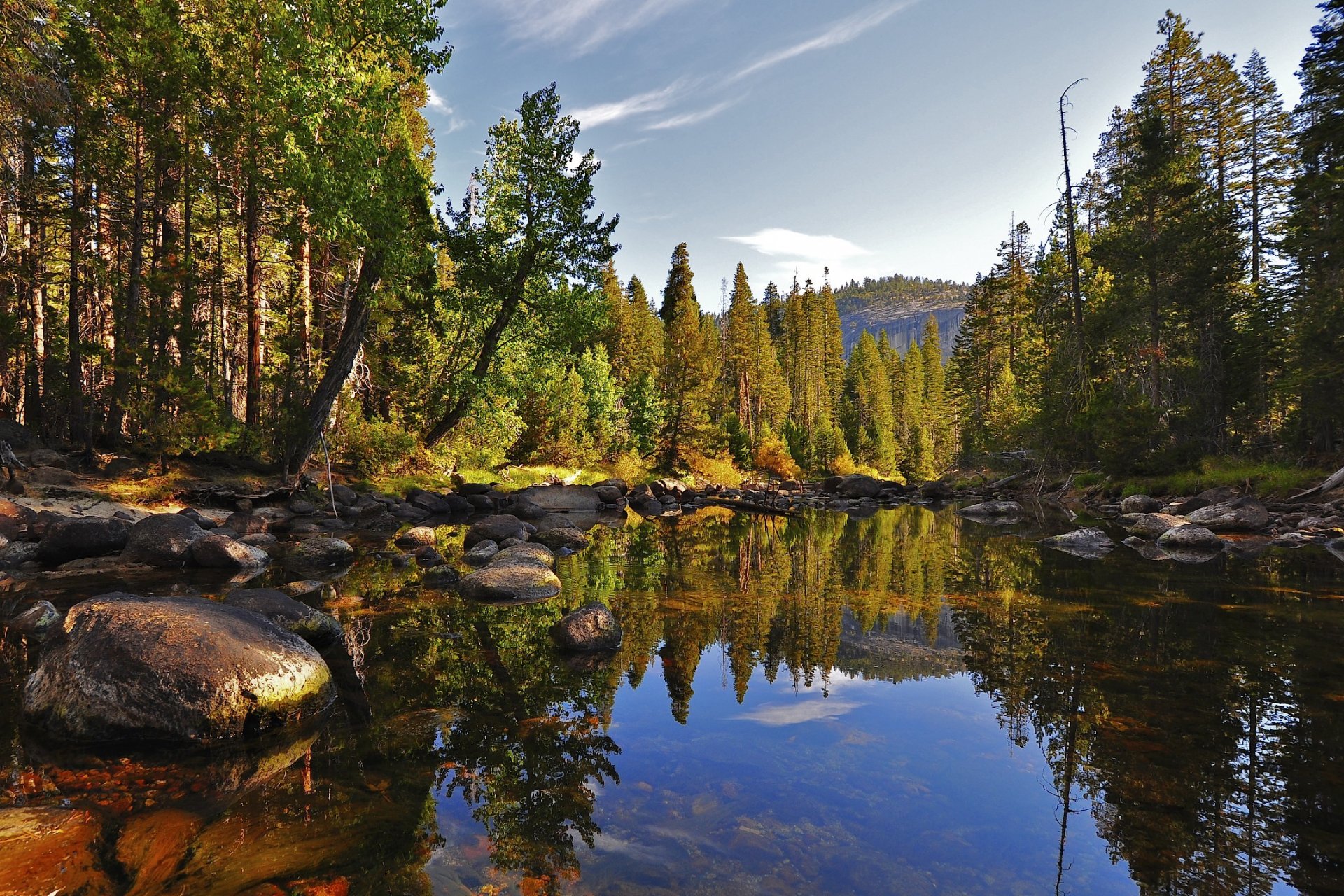 naturaleza lago piedras bosque