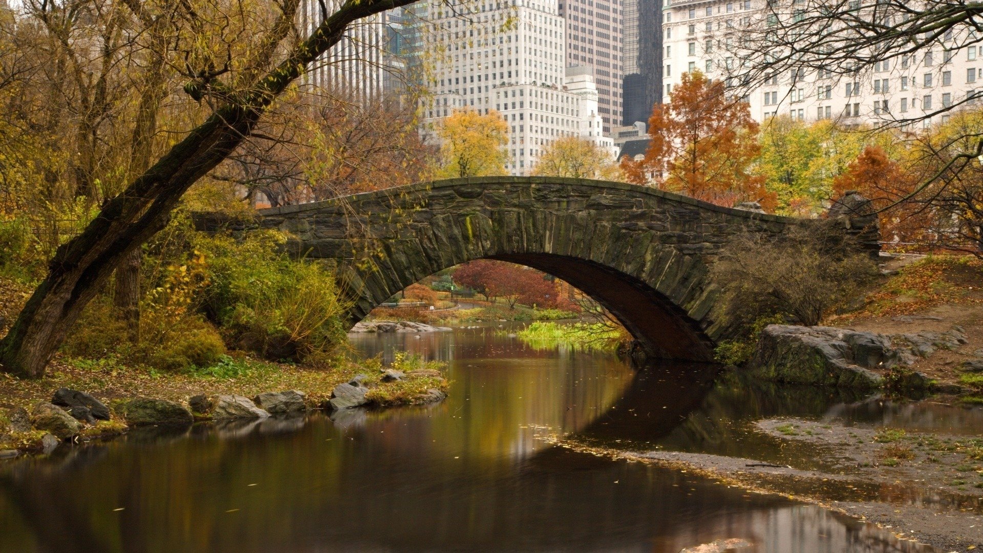 ponte fiume new york primavera alberi foglie città case