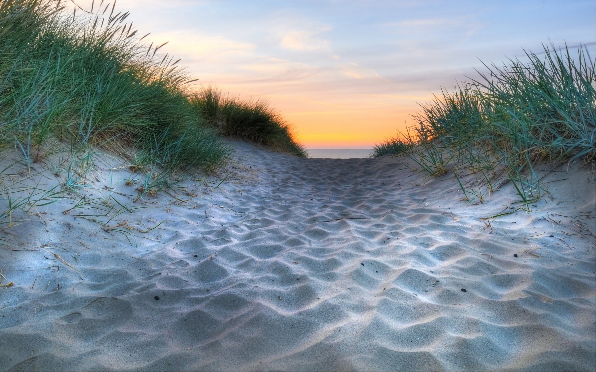 nature macro beaches sand sands coast coast sea water horizon grass ocean grass gra