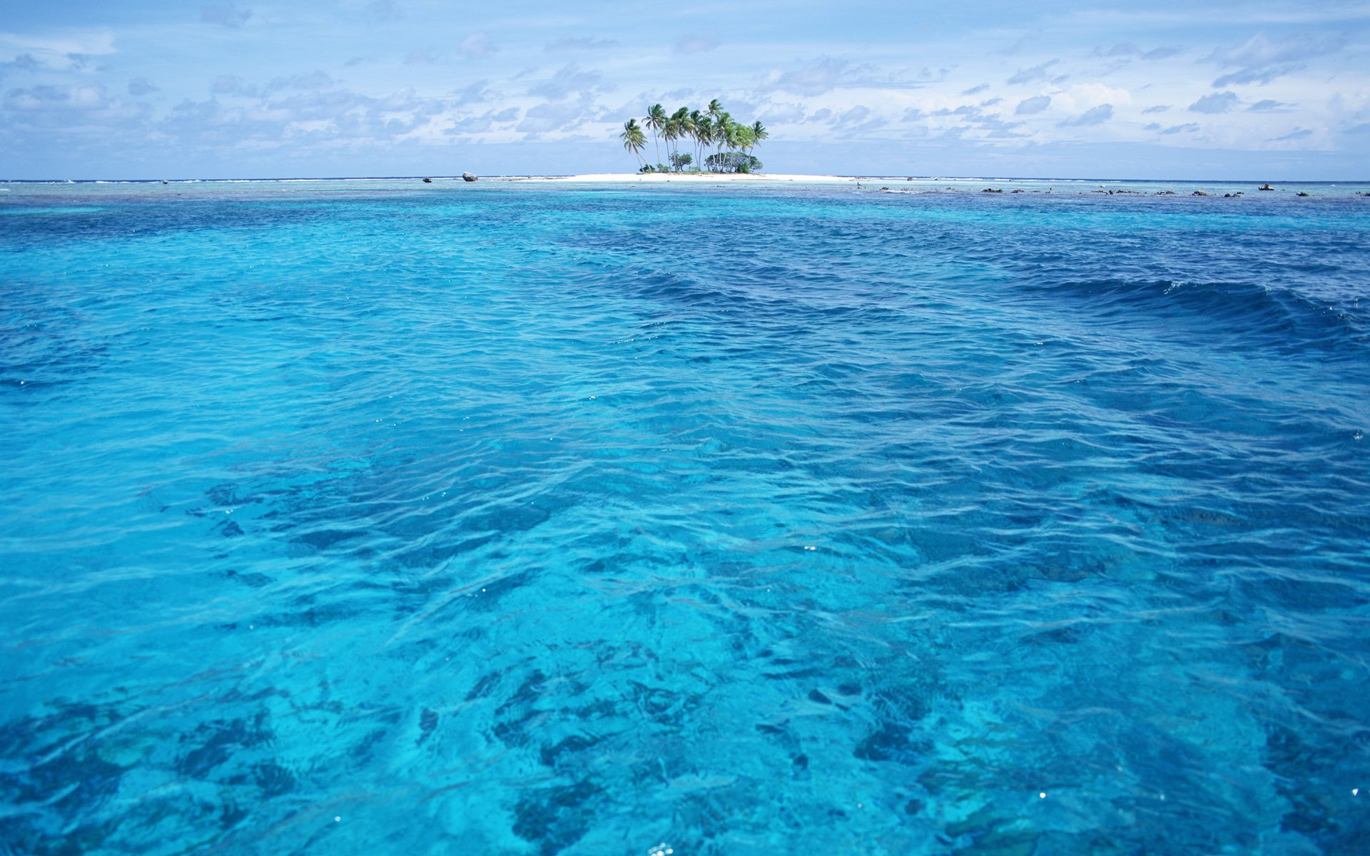 océano isla palmeras