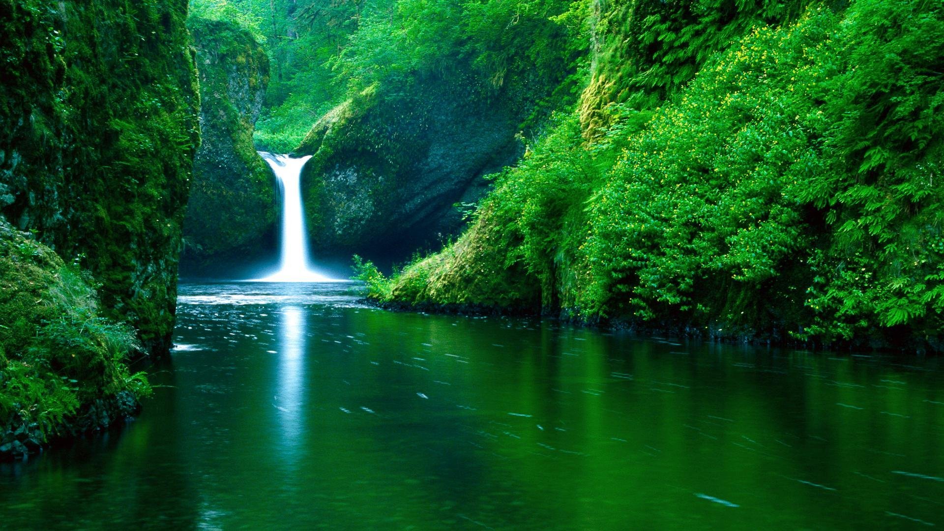 cascade rivière verdure