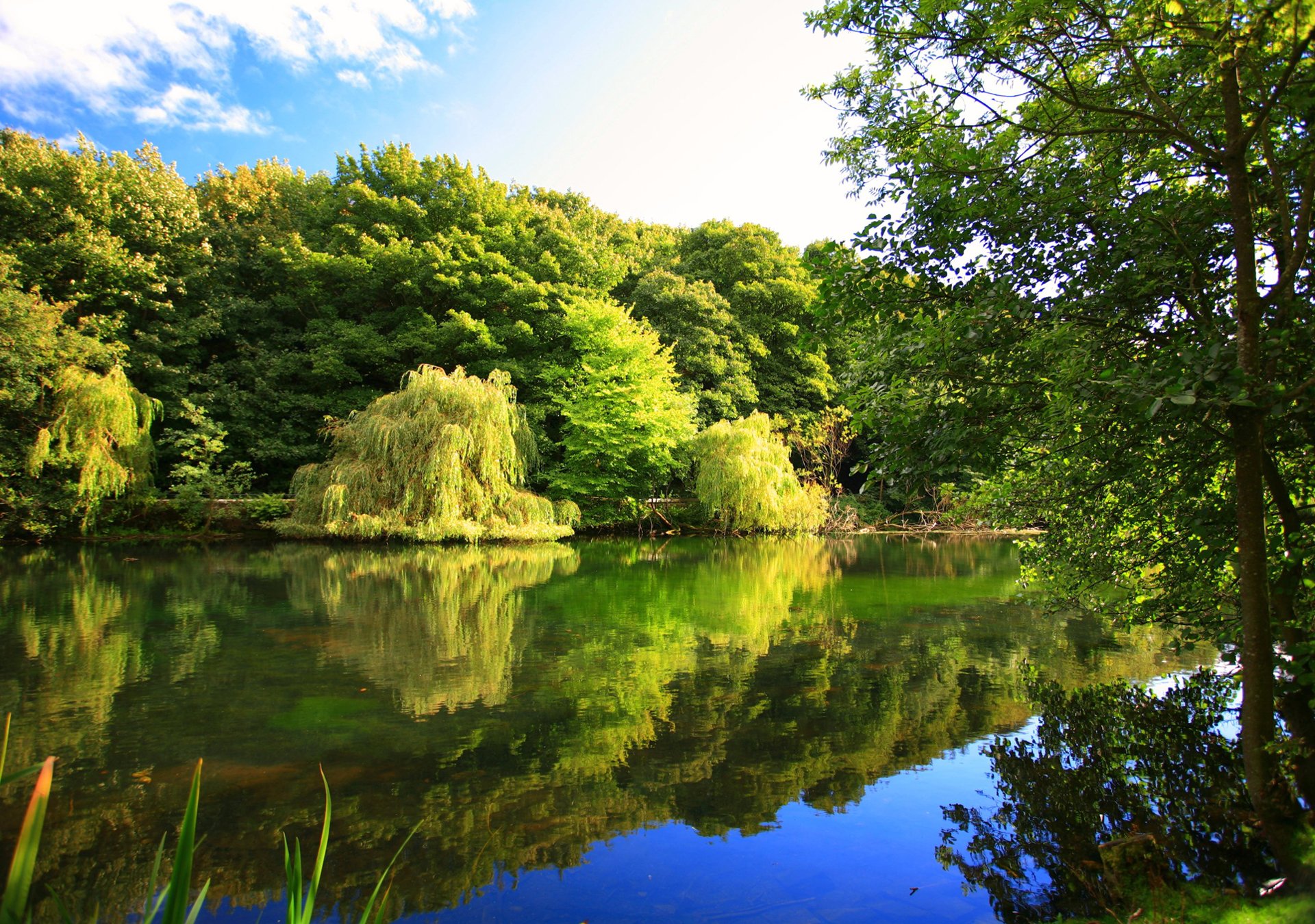 natura autunno fiume alberi