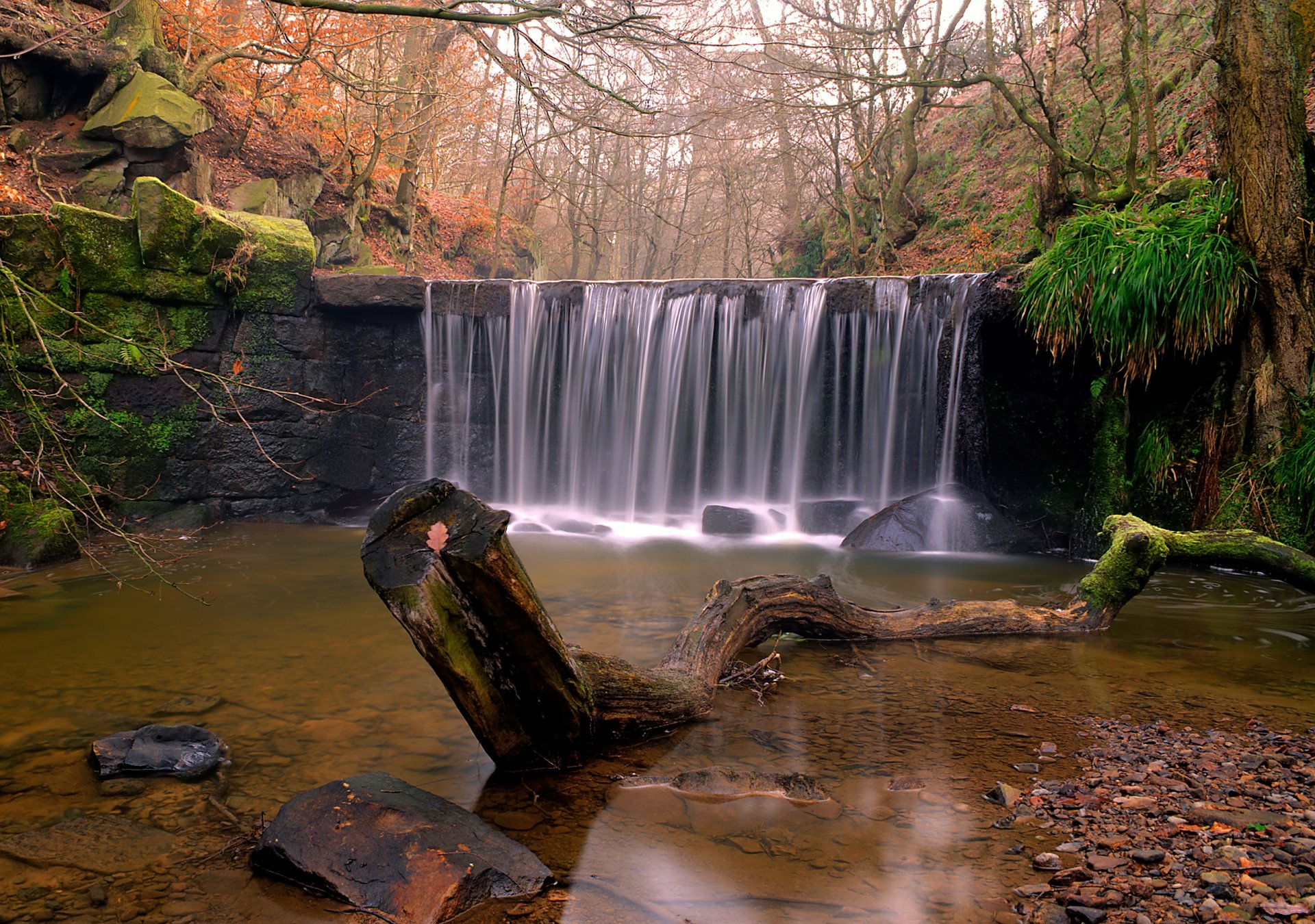 natur wald fluss wasserfall treibholz steine herbst