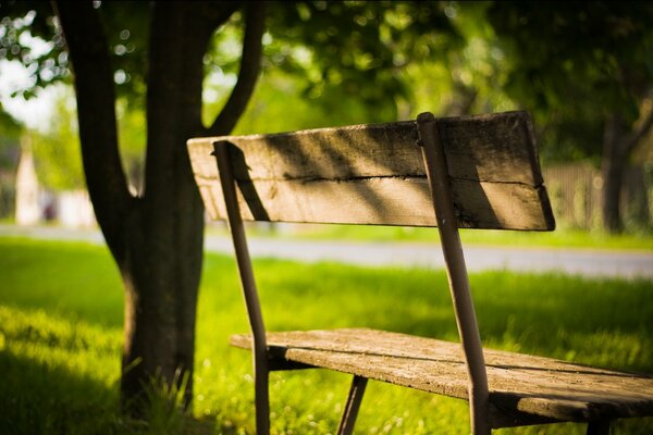 Samotna ławka w parku w słoneczny dzień