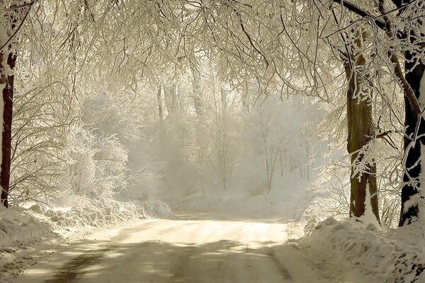 Camino de invierno con luz brillante