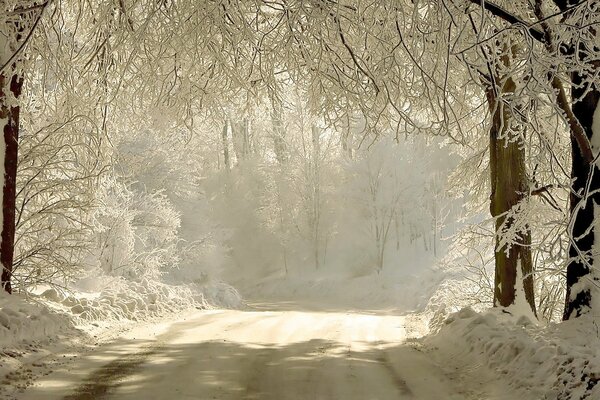 Strada invernale con luce brillante