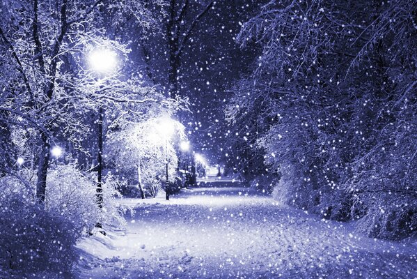 Strada invernale nel parco con la neve