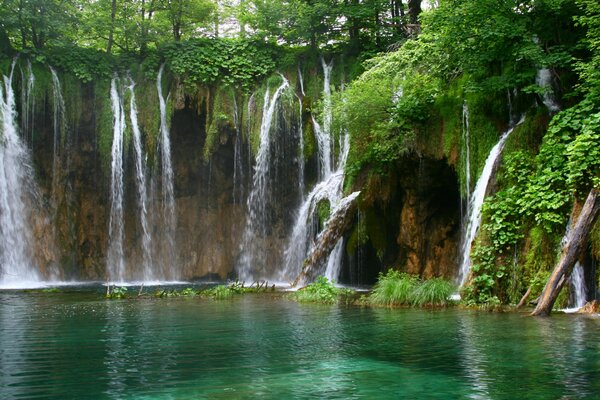 Wasserfall Landschaft mit viel Grün in der Natur