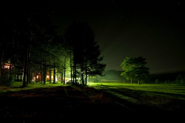 Greenery field night and glow