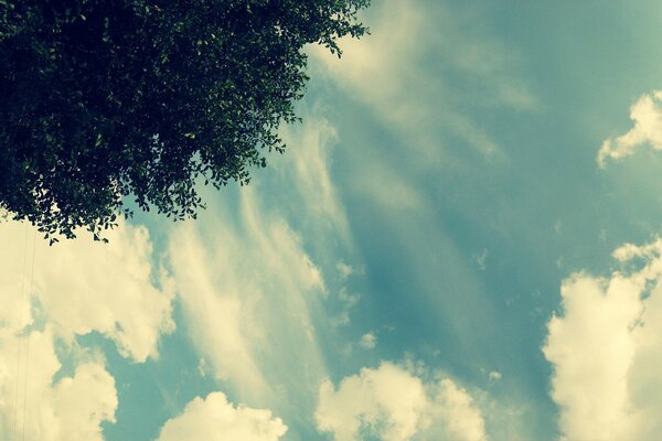 White clouds in the sky and a piece of wood