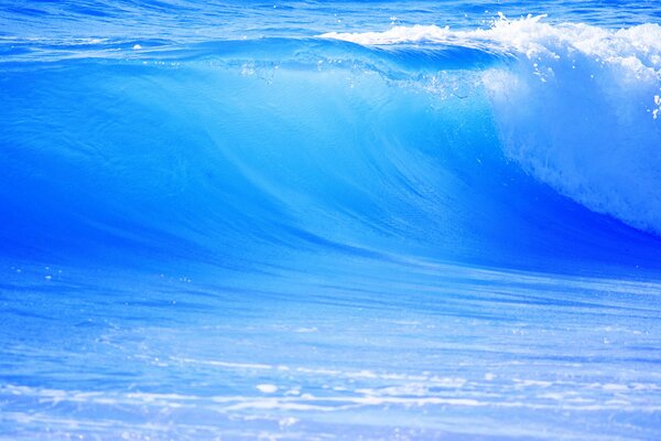 Olas transparentes del océano azul