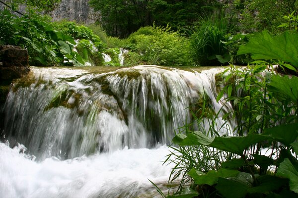 Природа пейзаж красивый зелень лето маленький водопадик