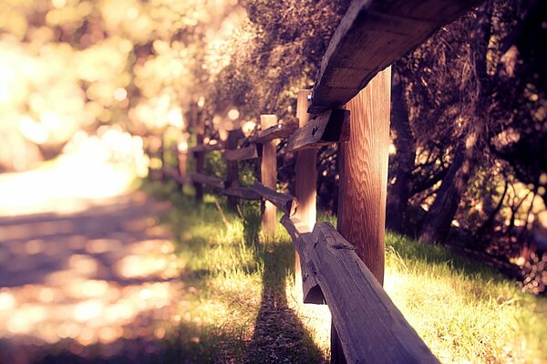 Village fence on the background of a blurred view of the forest