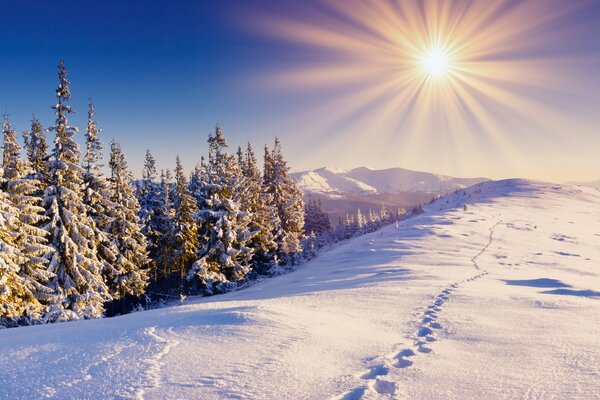 Le soleil brille en hiver