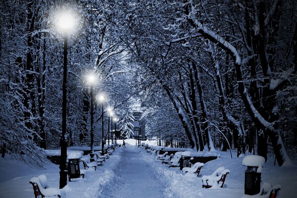 Wanderweg im Winter abends zwischen Bänken und Bäumen