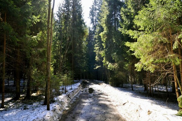 Spring road strewn with snow