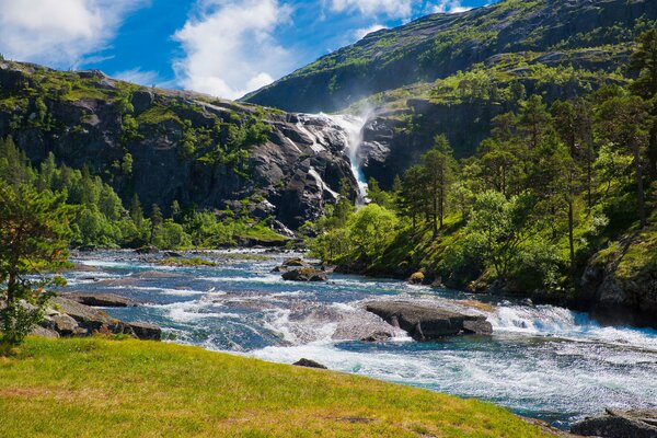 Cascada bañada por la luz del sol en el bosque