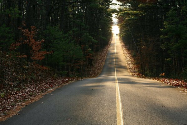 ROUTE PARTANT AU LOIN, SUR LES CÔTÉS DE LA FORÊT D AUTOMNE