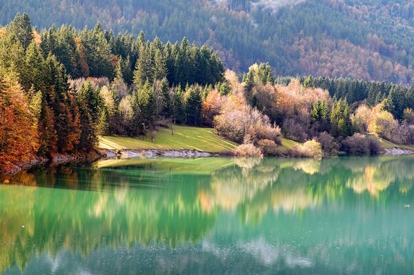 Nature autumn shore near river and forest