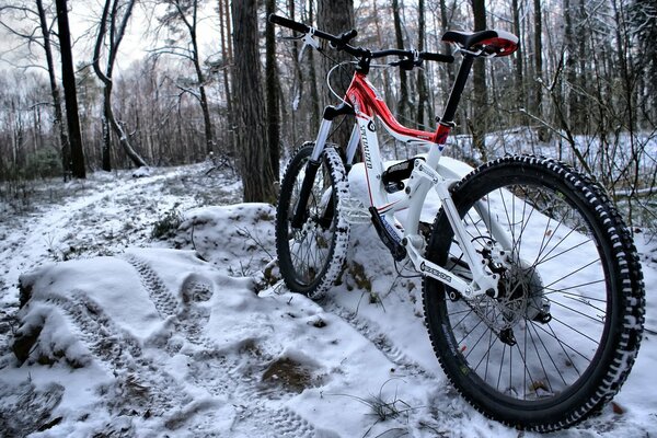 Bicycle in the forest in winter in red