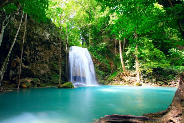 Waterfall and azure lake in the rainforest