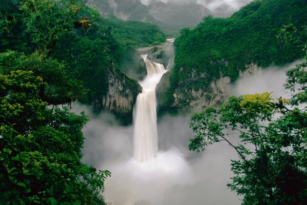 Grande cascata in una fitta vegetazione