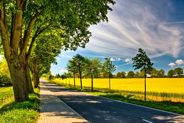 Camino a lo largo de un campo con árboles en el borde de la carretera