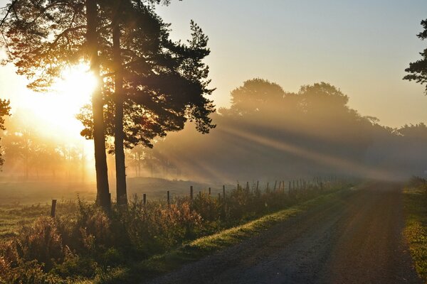 Le soleil du matin illumine la route vide