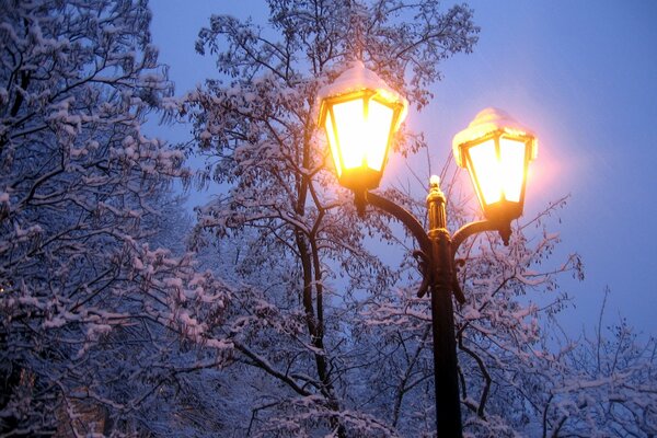 Winter evening. Burning lanterns