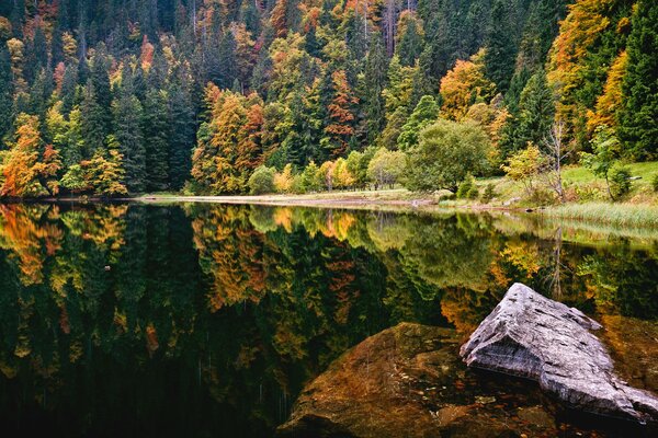 Automne sur la forêt du lac dans les couleurs vives