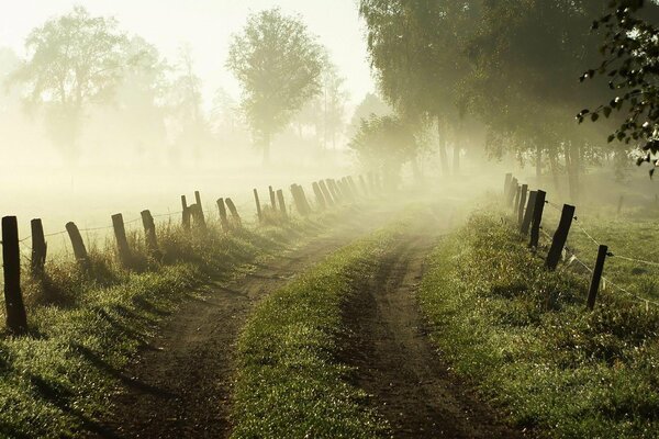 Aube du matin, route dans le brouillard