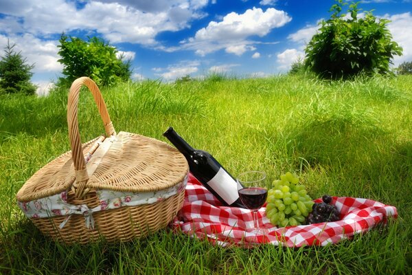 Picnic on the green grass in spring