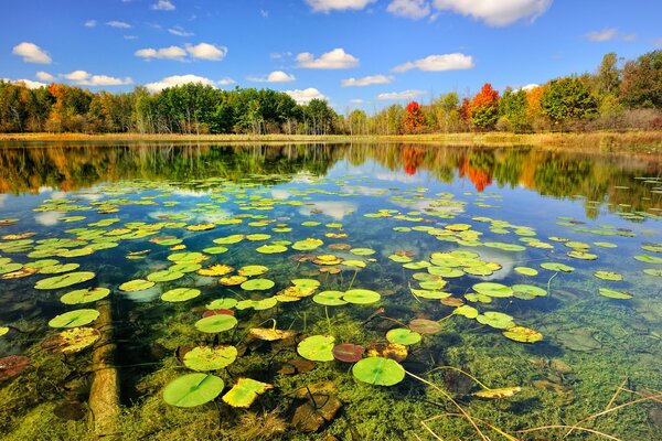 L abondance des couleurs du paysage d automne