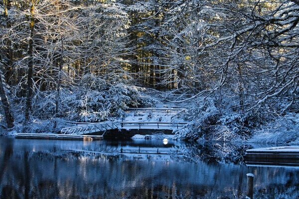 Brücke am See im Winterwald