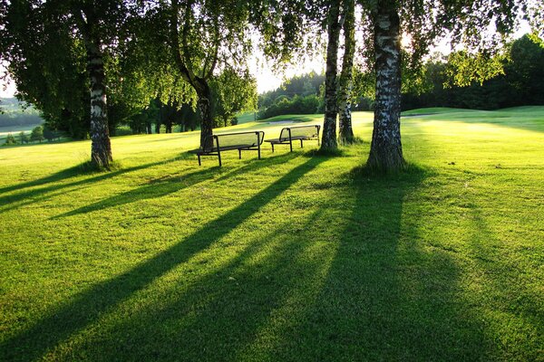 Giornata di sole nel parco con panchine sul prato