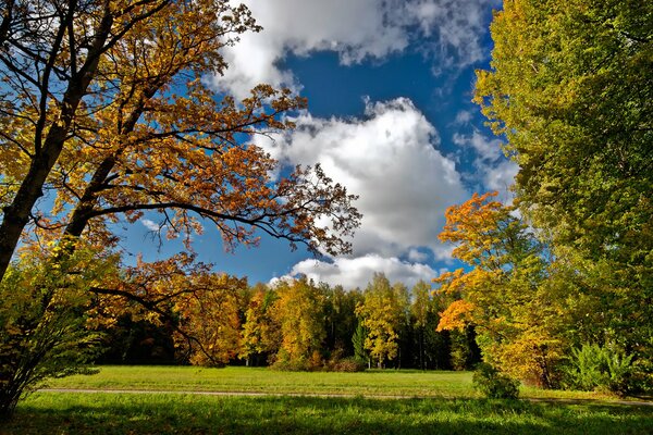 Glatte Straße in der Herbstpflanzung