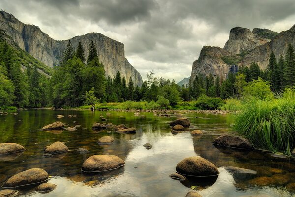 Día gris del bosque de montaña