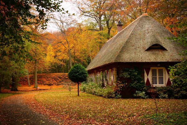 Hunting lodge in autumn Park