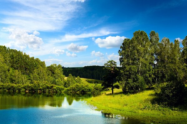 Blue lake and forest landscape