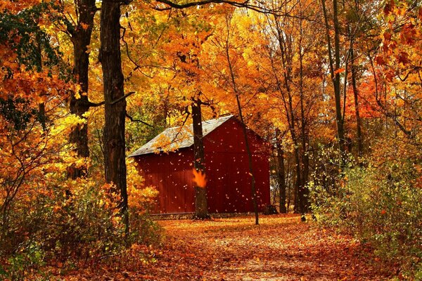 THE RED HOUSE STANDS IN THE AUTUMN FOREST