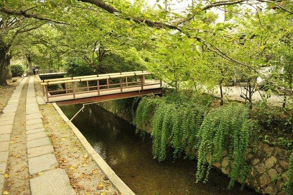 Puente en Japón. Árboles verdes