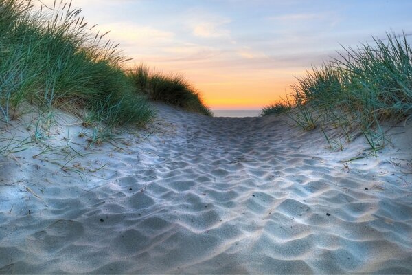 Sandy path leading to the sea