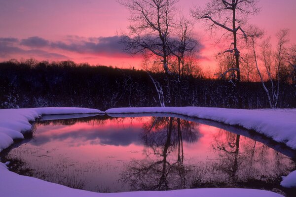 Lake in the winter forest at sunset