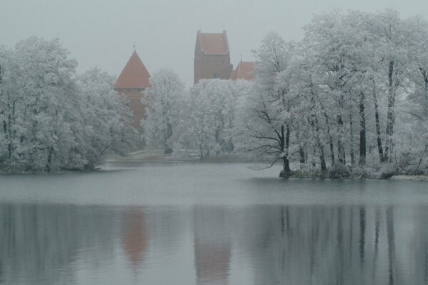 Ein Wintermärchen. Weiße Bäume