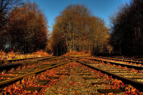 Chemin de fer dans les feuilles d automne