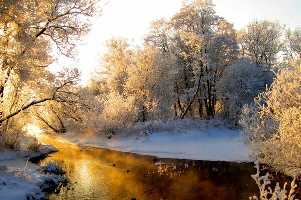 Winterlandschaft mit Sonneneinstrahlung überschwemmt