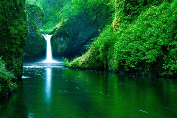 Waterfall in the green valley