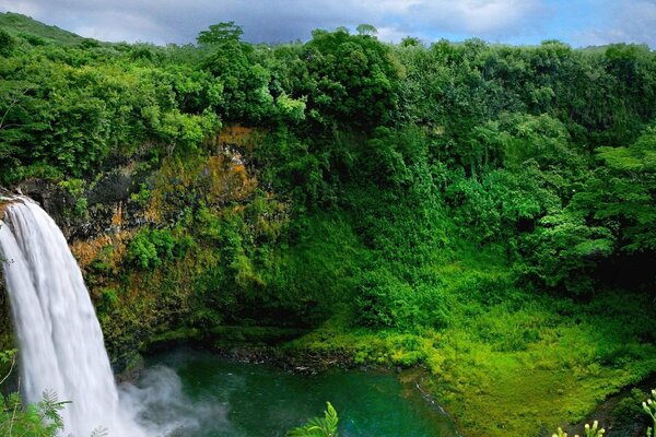 A powerful waterfall on a green island