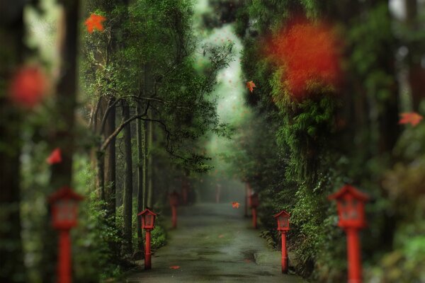 A path through the park with red lanterns